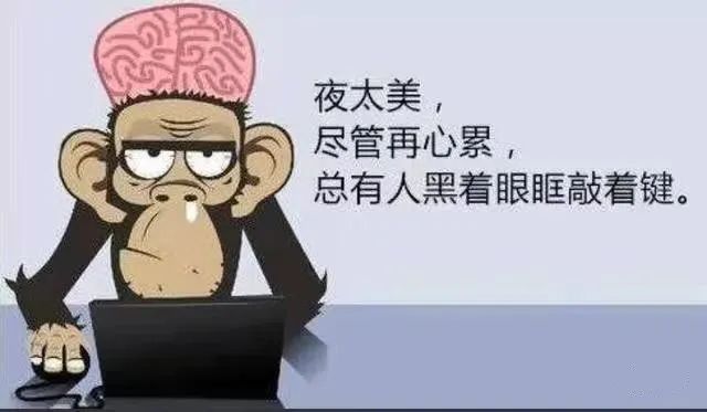 程序員假期怎么過，快來看看你屬于哪一種？